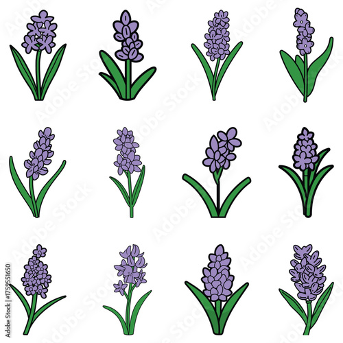 Twelve cartoon lavender flower drawings are arranged neatly on a white background