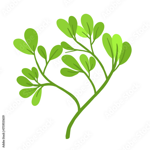 Fresh green leaves branch vector botanical illustration. Minimalist Hand drawn style stem and leaves