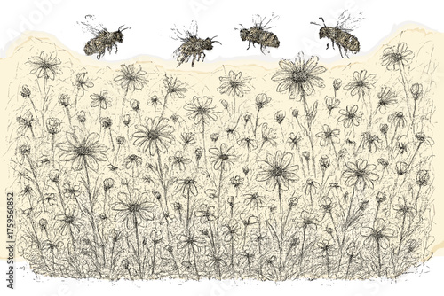 Stems scribble around illustration wildflower field art tangled lines vector hovering wildflowers