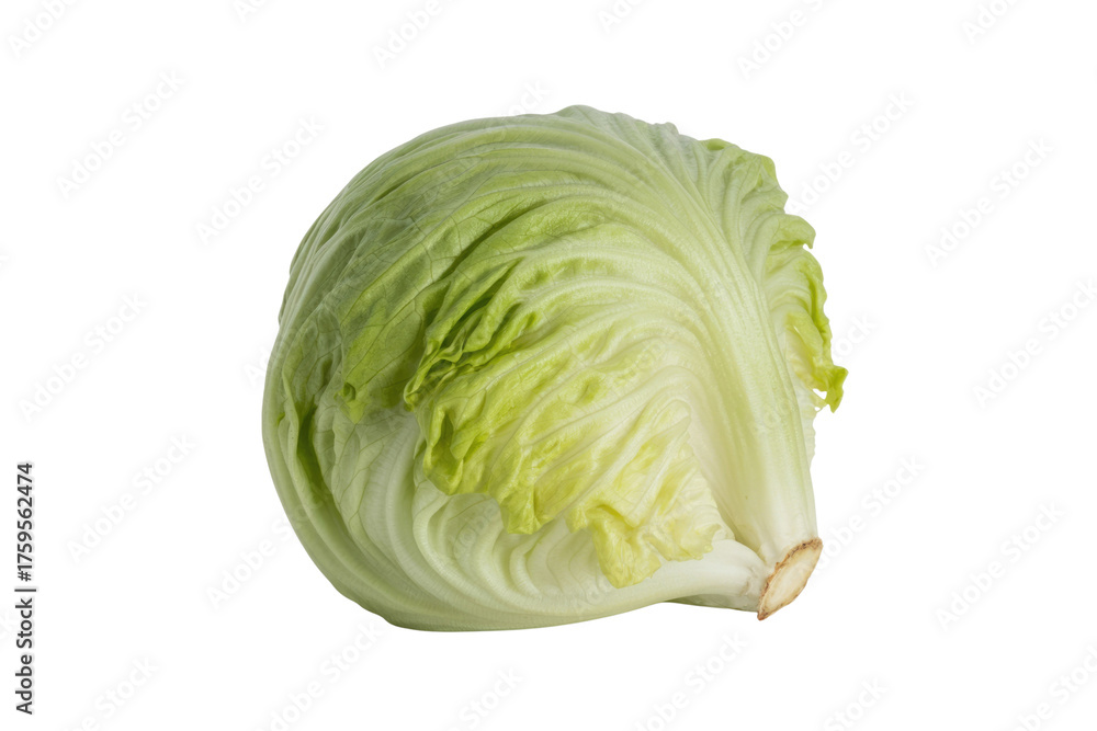 Fototapeta premium A whole head of fresh, light green lettuce isolated on a transparent background. background removed