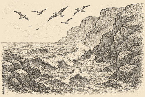 Seagulls shaded cliffs waves coastline vector dotted rocky illustration above textures