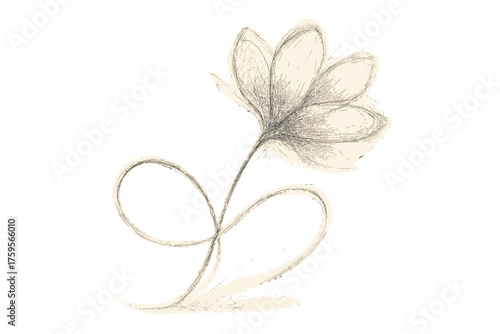 Into inspired sketch curved vector flower delicate looping abstract illustration petals hatching