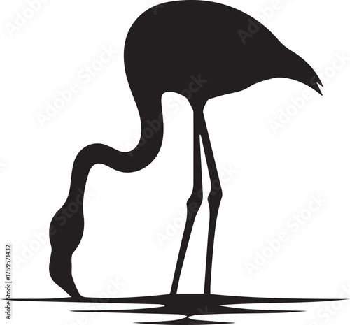 Elegant black silhouette of a flamingo drinking water elegant bird reflection wildlife