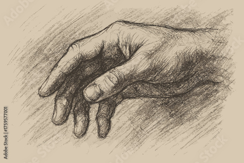 Visible shadows vector illustration hand smudged charcoal detailed lines human sketch