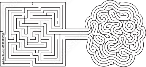 Minimalist black and white line art of two contrasting mazes, one geometric and orderly, one chaotic and organic, connected by a straight line, clean modern aesthetic, sharp precise lines.