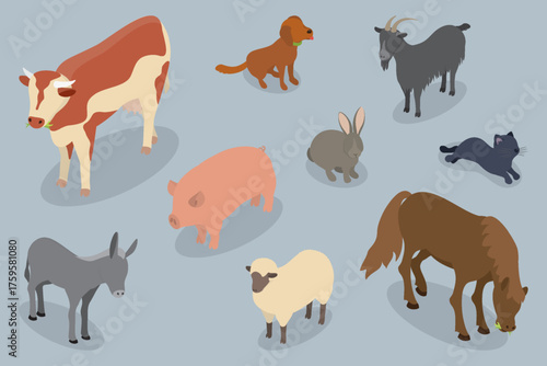 Farm animals, domestic pets. Countryside livestock: cow, pig, horse, dog, sheep, rabbit, goat, cat, donkey. Flat isometric vector illustration.