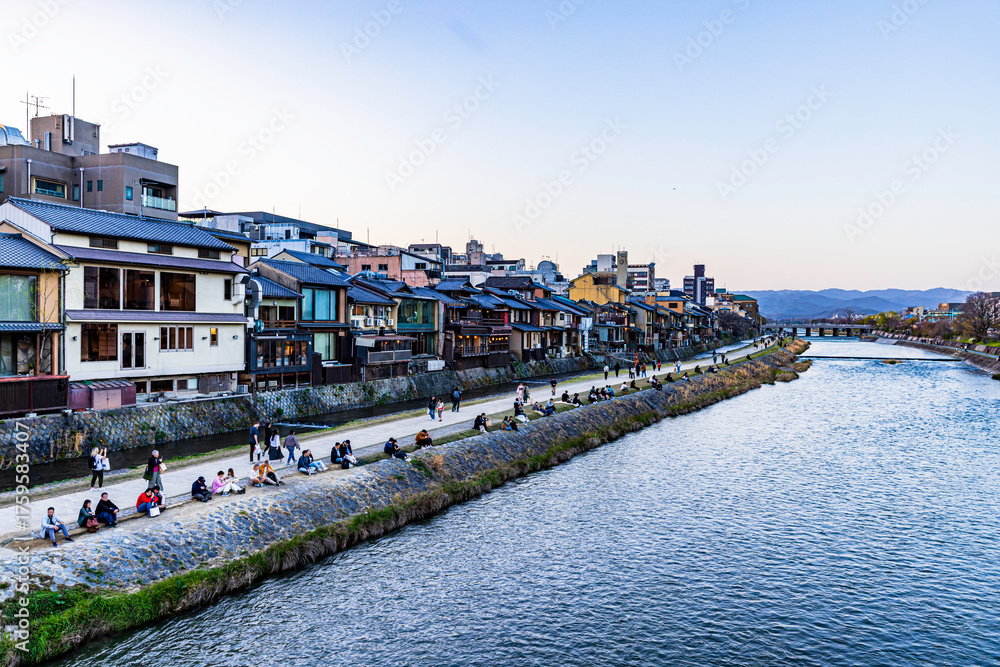 Fototapeta premium Spring scenery of the Kamo River in Kyoto
