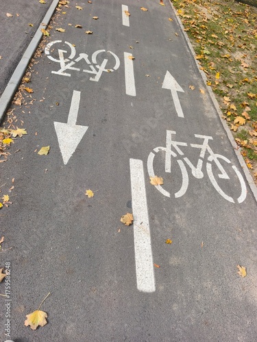 bicycle lane sign