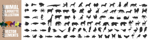 Big animal silhouettes collection. Various wild, sea and domestic species vector illustration on transparent background