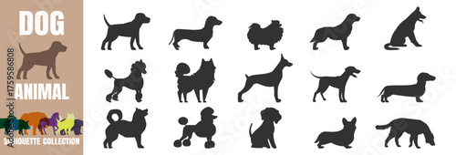 Dog breeds silhouette set. Various pet shapes and canine outlines vector illustration on transparent background