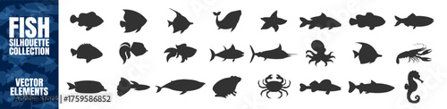 Sea animals and fish silhouette set. Marine creatures and underwater vector illustration on transparent background