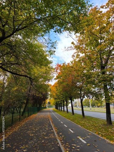 autumn in the city street
