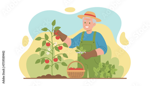 Happy senior gardener harvesting fresh tomatoes and herbs Healthy lifestyle organic farming concept