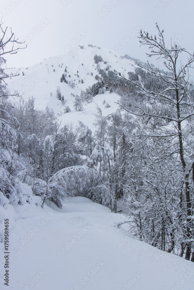 Naklejka premium montagne sous la neige, scène hivernale, chutes de neige et froid dans les Alpes, hiver