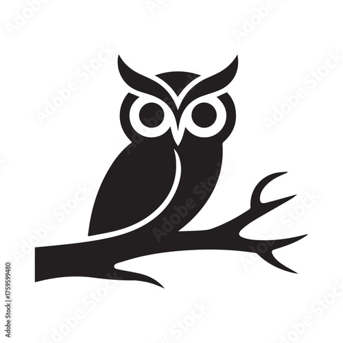owl on white background