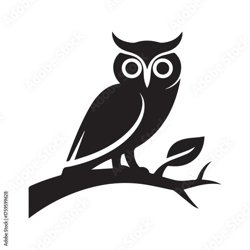 owl sitting on a branch
