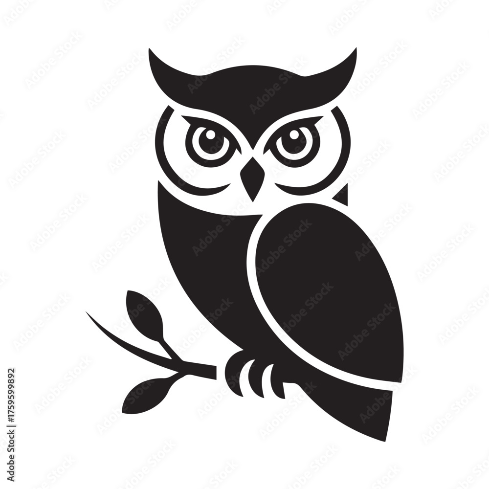 Fototapeta premium owl sitting on branch