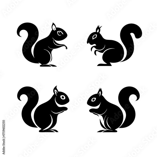 Set of four black squirrel silhouettes in various poses. Stylized vector graphic illustrations of woodland animal icons.