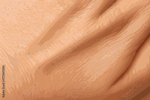 Shading magnified vector detailed soft hand pores natural skin transitions illustration