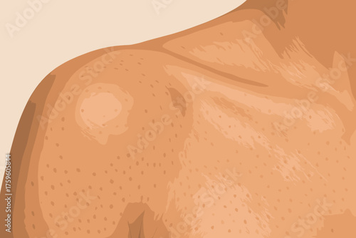 Distribution pore zoom photorealistic vector illustration shoulder natural texture skin smooth close