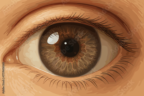 Highlights art source light detailed eye surface reflection illustration soft reflecting glossy