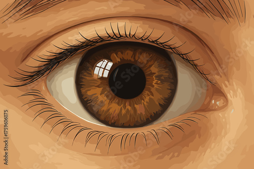 Eye art illustration realistic iris between vector window reflection reflecting pupil light