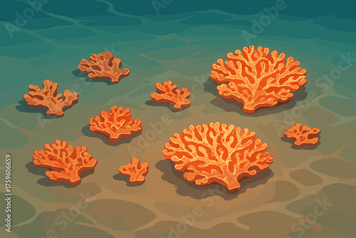 Underwater illustration sandy forms coral leaves beneath vector shallow scattered water glowing