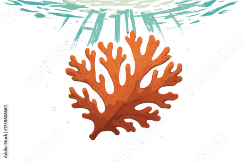 Leaf highlights vector casting suspended clear shimmering floating illustration coral rays