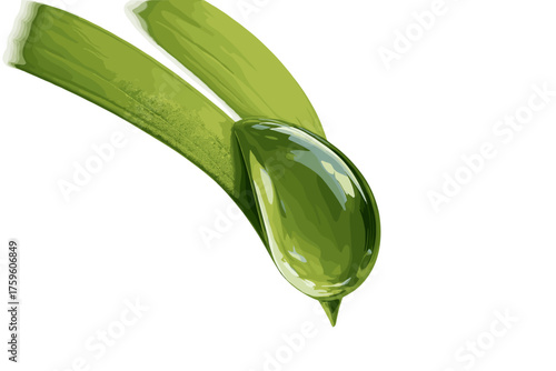 Simple vector dew dewdrop pulling down form illustration large leaf curve edge