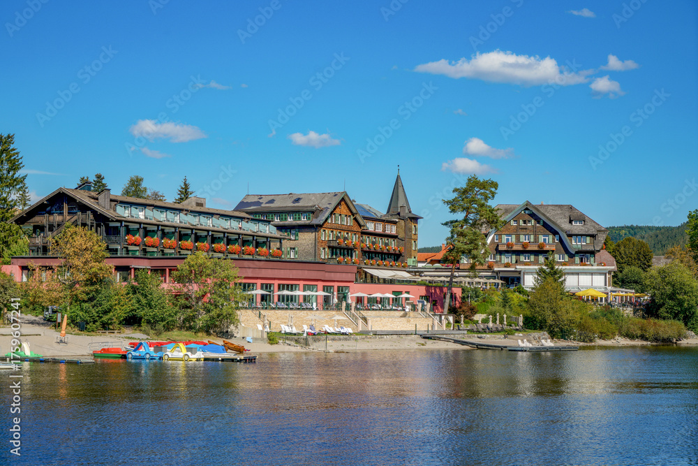 Naklejka premium A dock with a boat and a blue buoy sits on a lake Titisee in Germany