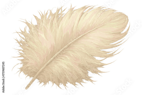 Close fibers softness showing fine fluffy feather through detail illustration vector rendered