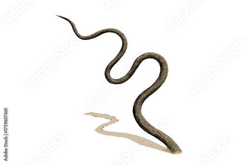 Imperfections hair vector frizzy shadow fine illustration irregularly single bending strand