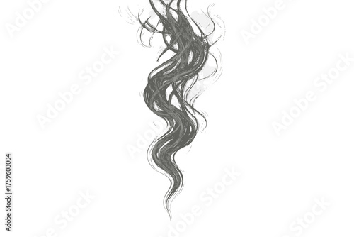 Vector upward subtle tendrils twisting trail illustration light delicate smoke detailed showing