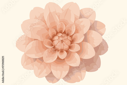 Soft vector cluster layering smooth petals seen view blooming illustration transitions petal