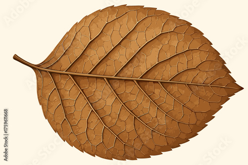 Vector brown natural aging illustration pattern leaf dried veins texture vein detailed