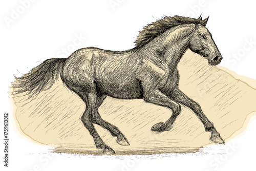 Emphasizing view side horse vector illustration strokes dynamic galloping movement