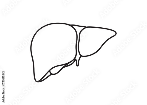 Vector art of liver outline illustration for medical use