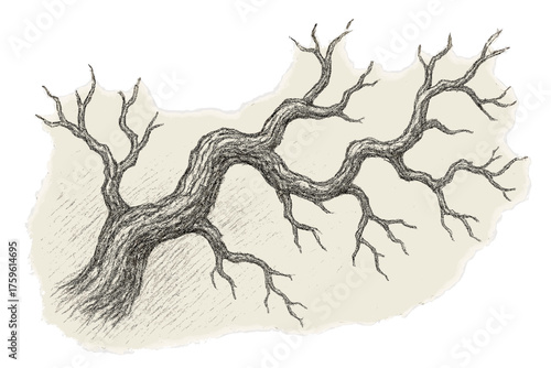 Branch pencil highlighting vector sketch branchlines shading age twisted textured rough illustration