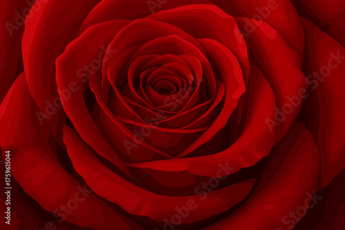 Illustration petals soft realistic vector rose shadow folds close velvety macro