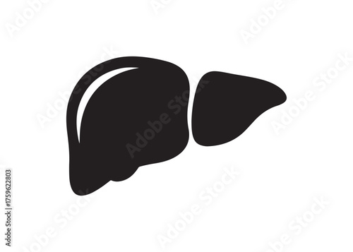 Illustration of a human liver in black color