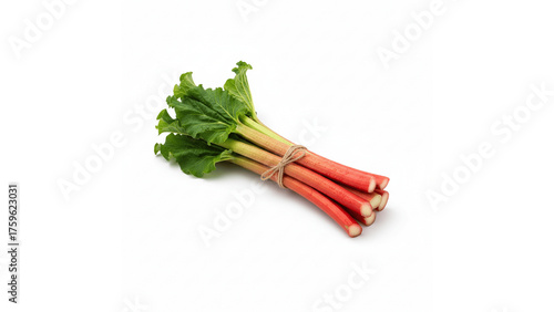 Fresh Red and Green Rhubarb Stalks Tied with Twine, Isolated transparent background, Tart Vegetable.