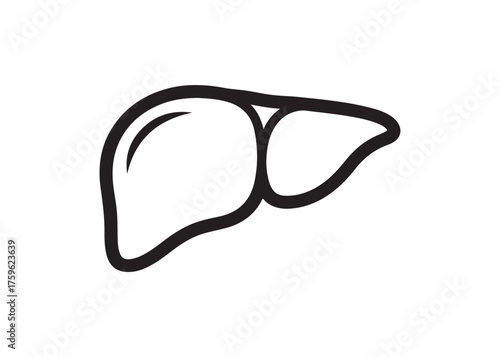 Vector art of black outline of a liver for medical use