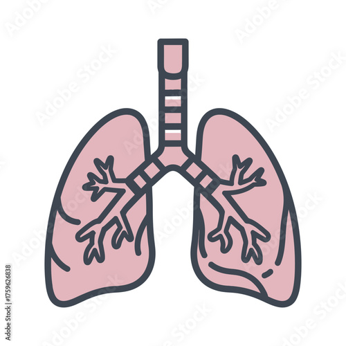 A minimalist line art icon of the human lungs and respiratory system, representing medical anatomy, health, and biology