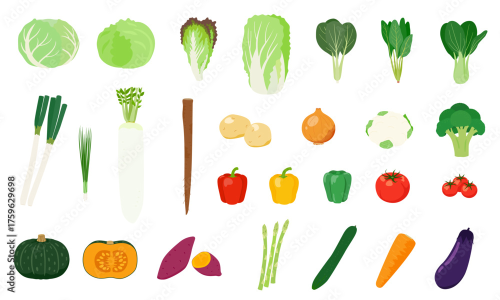 Fototapeta premium 野菜の主線無しイラストセット