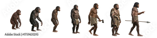 Fotografie depiction of human evolution, artistic timeline of early human ancestors from Sa