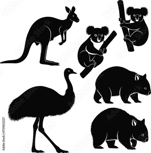 Vector art of australian animals silhouettes including kangaroo