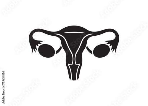 Vector art of female reproductive system silhouette icon, uterus