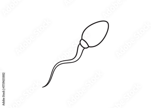 Vector art of spermatozoon cell, male reproductive cell concept