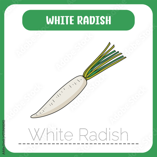 WRITING CARD VEGETABLE ILLUSTRATION EDITION white radish