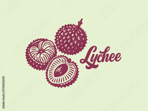 Lychee fruit engraving with lettering vector illustration